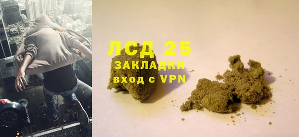 прущие грибы Баксан