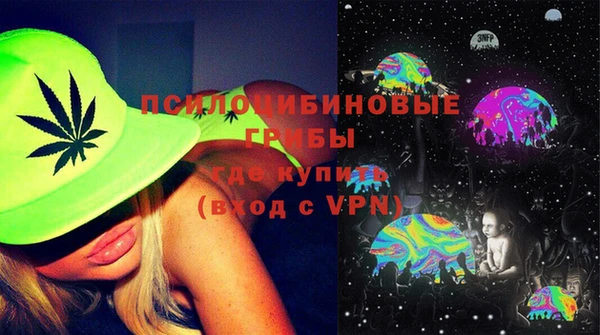 ешки Арсеньев