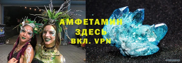 шишки Аркадак